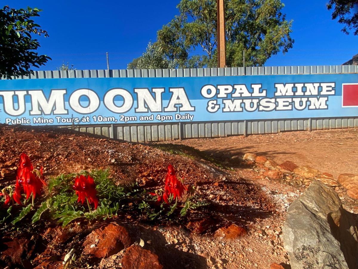 Ali'S Underground Home Coober Pedy Exterior foto